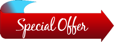 dog daycare special offers